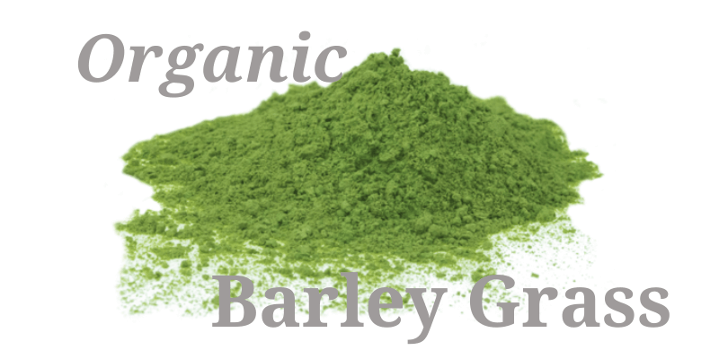 Barley Grass