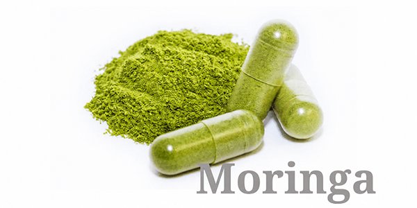 Moringa Powder in Ngapur