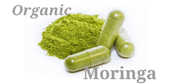 Moringa Powder in Ngapur