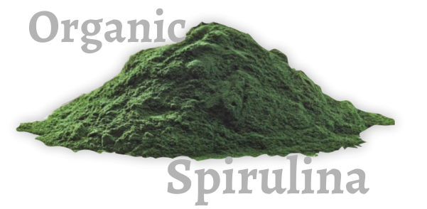 Organic Spirulina powder in nagpur