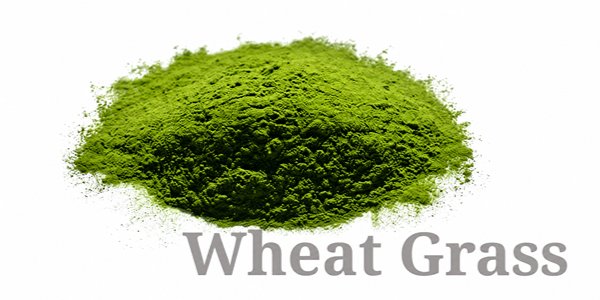 Wheat Grass powder in nagpur