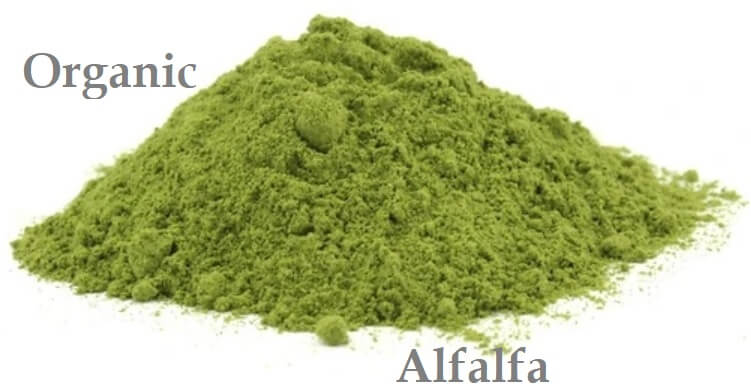alfafa powder