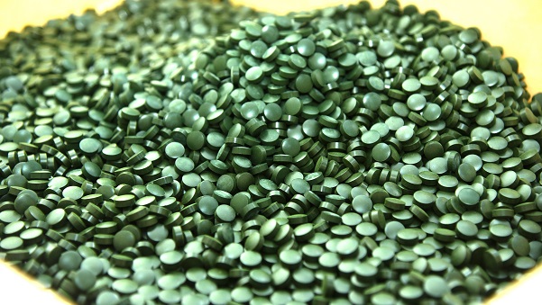 Spirulina Manufacturer